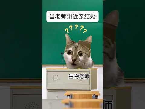 猫の動画サムネイル - 当老师讲到近亲结婚#有趣 #猫meme #猫meme剧场 #内容过于真实  #故事 #貓 #猫猫meme小剧场 #喵不可言