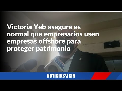 Senador Victoria Yeb: "Es normal que empresarios usen empresas offshore para proteger patrimonio"