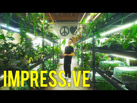 I'm Just Gonna Show You A LOT of CRAZY PLANTS. A quick vlog / plant highlight.. I film throughout the week and never know what's gonna make it into