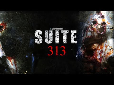 Suite 313'