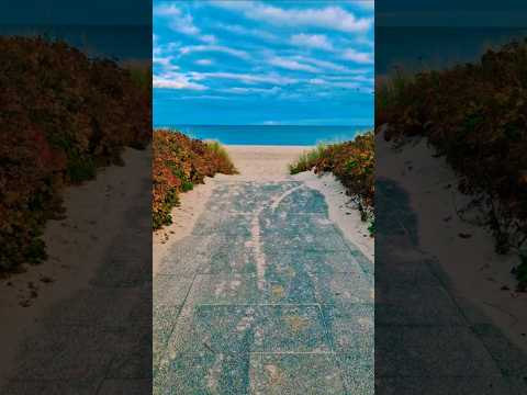 Summervibes #beach #strand #reiseliebe