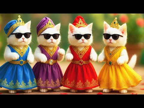 बिल्ली  डांस,💃| Cutest Cat videos funny dance 🤣 💃 Videos for cats #funny #dancingcat #cat #kitten