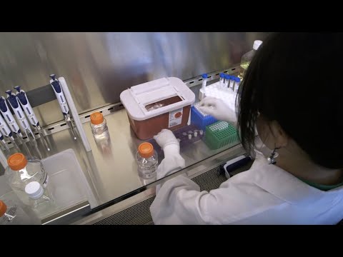 One of the most exciting areas of cancer research today is immuno-oncology. Immuno-oncology is based on the concept of harnessing the body's own immune system to fight cancer, and while it's an approach that scientists first considered more than 100 years ago, recent scientific discoveries and clinical advances have ushered in a truly historical time in cancer research. One of the most exciting areas of cancer research today is immuno-oncology. Immuno-oncology is based on the concept of harnessing the body's own immune system to fight cancer, and while it's an approach that scientists first considered more than 100 years ago, recent scientific discoveries and clinical advances have ushered in a truly historical time in cancer research.