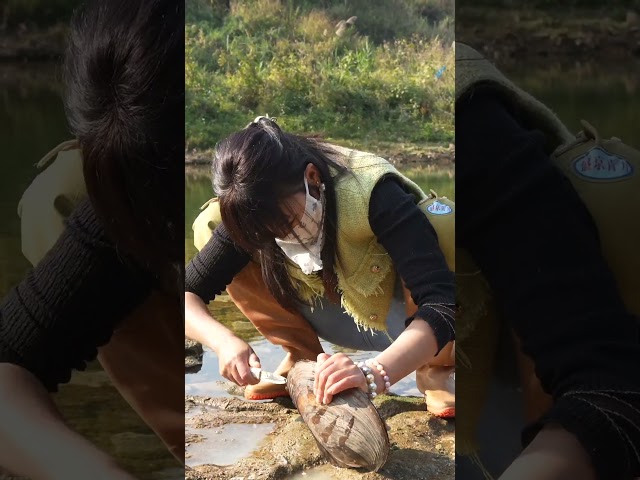 Girl's Clam Discovery: Riches Beyond Belief
