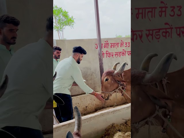 Bolo har har Mahadev #pawansahu #hindumantra #naturalbodybilding