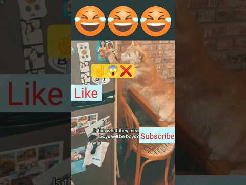 Funniest fails 🤦‍♂️ | Funny animals 🐶🐱 ‎#funny #Shorts #TryNotToLaugh #Entertainment #ViralVideos