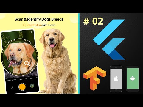 Build Dog Breed Identifier App from Scratch – Flutter Mobile iOS & Android Machine Learning Course