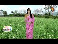 ఖరీఫ్ నువ్వుసాగులో మెళకువలు | Techniques in Sesame Cultivation | Matti Manishi | 10TV  - 05:36 min - News - Video