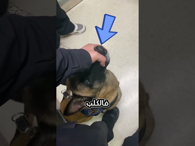 الشرطي أنقذها من فواتير المستشفى