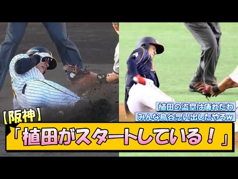 【阪神】「植田海がスタートしているう！」【なんJ/2ch/5ch/ネット 反応 まとめ/阪神タイガース/岡田監督/巨人/鳥谷敬/wbc】