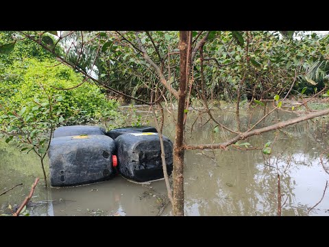 Thử sức với gốc cây ngâm