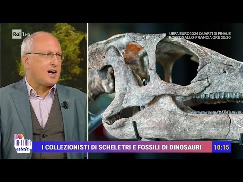 Il mercato legale dei fossili di dinosauri - Unomattina Estate 05/07/2024