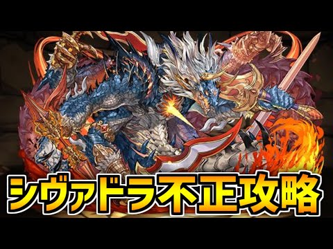 〇〇を使えばシヴァドラ降臨がヌルゲーに！裏技攻略編成紹介！【パズドラ】