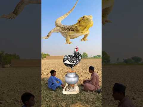 ya munzilal quran 💞💞👆#islami #allahhuakbar #treanding #vfx #shortvideo