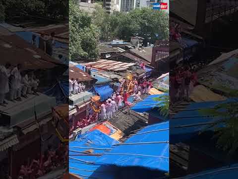 Lalbaugh cha Raja leaves from his pandal for immersion at Lalbaugh  17K views  play Short