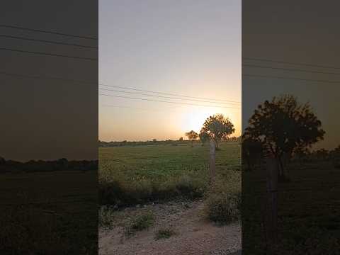 Hukka Chillam#trendingsong#shortvideo#song#trendingshorts#newharyanvisong