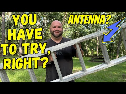 Can I Use A Ladder To Activate A Park?