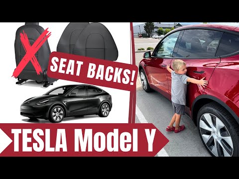 Protecting Your Model Y: Mud Flaps & Seat Protectors | Ultimate Care Guide