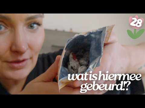 Klik hier om Jill Ruby van 28 april te bekijken.