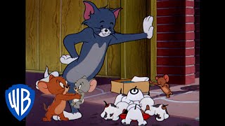 Tom a Jerry -  Svátky s rodinou