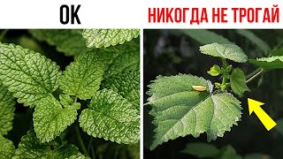 85 фактов, которые несомненно порадуют любую комнату