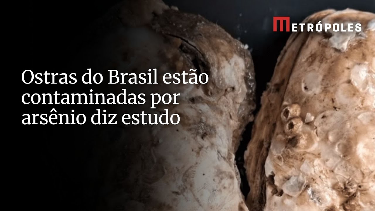 Ostras do Brasil estão contaminadas por arsênio diz estudo