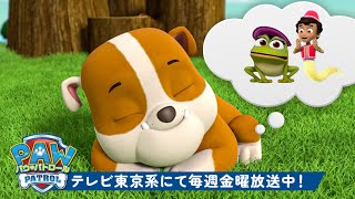 動画サムネイル