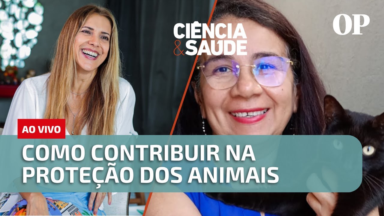 Como contribuir na proteção dos animais | Ciência  Saúde