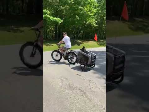 Pups and Bikes #SHORTS