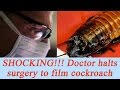 Thane Doctor halts surgery to film cockroach inside operation theatre