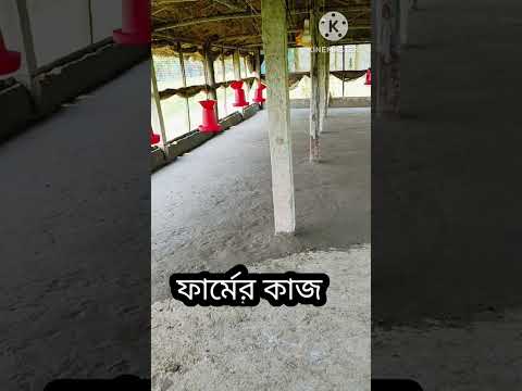 🛖ফার্মের প্রতিটা দিন এক একটা স্বপ্নের গল্প🌿#shorts #shortvideo #shortsfeed #pets #birds #farming