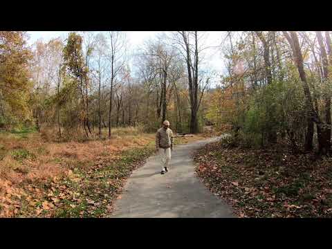 Nước Mắt Mùa Thu | Lệ Thu | Nhạc sĩ: Phạm Duy