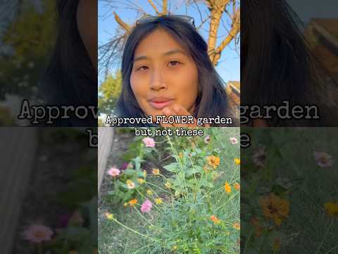 Approved FLOWER garden but not these