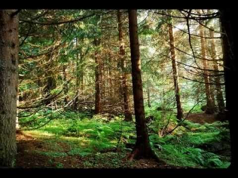 Aegonia - The Forest Asks For My Word (Иска ми дума гората)