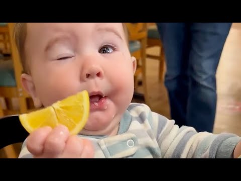 Best Videos of Cute Babies Eating Lemons for the first tome part to of 2022 -  Try Not to laugh