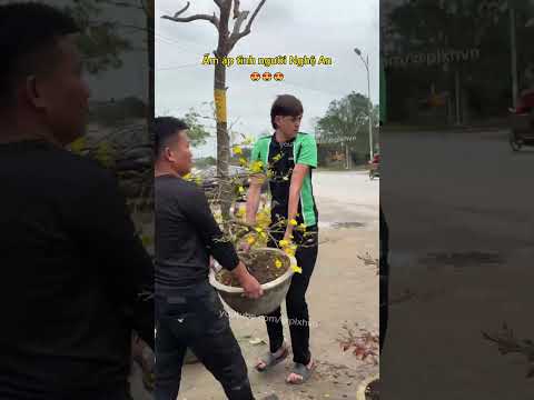 Ấm áp tình người Nghệ An 😍 #tinhcam #nghean #viectot #tetnguyendan #cuocsong #hanhphuc #mayman