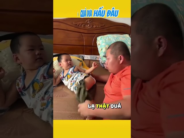 Quả dưa hấu đâu