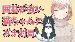 [LIVE] 【囲碁Vtuber】元院生　VS　高段者　30秒早碁対局コラボ！