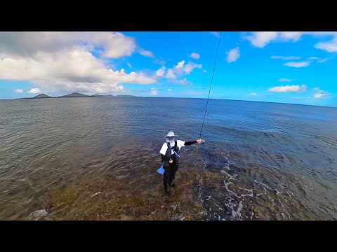 【沖縄離島】ウェーディングでまさかの五目釣り達成！南国の魚が次々ヒット！