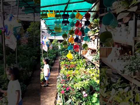 | बापरे किती सुंदर 🫣| #vlog #shorts #youtubeshorts #dailyvlog #dailyshorts #marathishorts