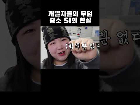 개발자들이 SI 중소기업을 기피하는 이유, SI기업의 현실 #개발자 #it기업 #중소기업