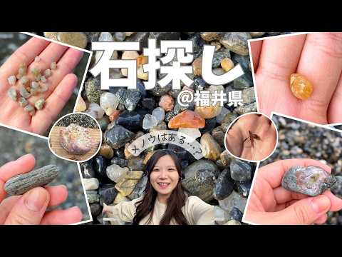 【石観察】福井の海岸で石ころ探し!メノウは見つかるのか?