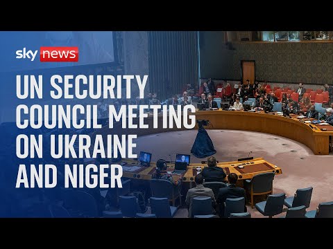 Watch live: UN Security Council meeting on Ukraine and Niger
