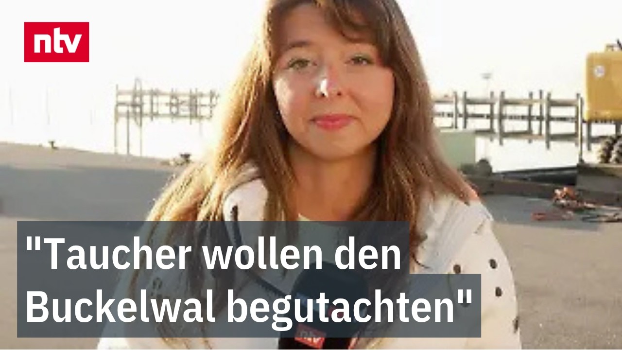 Rihm zur Walrettung: "Schweres Gerät steht schon bereit" | ntv