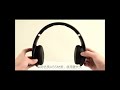 Ovleng S66 Bluetooth Headphones (MIC, TF, FM,  Bluetooth, Metallic finished surface)