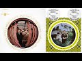 CAPTAIN BEEFHEART / SAFE AS MILK -HQ/INSERT-