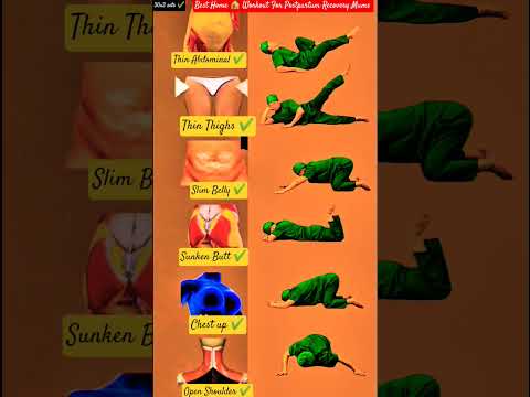 Exercises for a full body workout at home#shorts #weightloss #stomachworkout #abdominalworkout