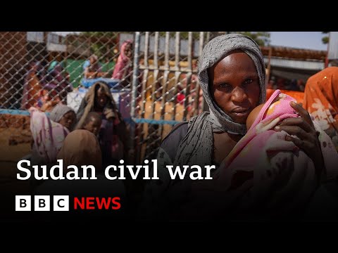 Sudan civil war a 'humanitarian nightmare', says UN | BBC News