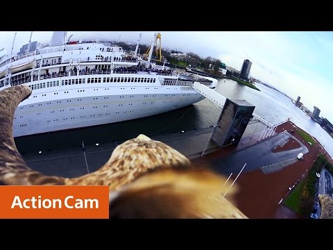 Action Cam | Eagle Flight Over the SS Rotterdam | Sony