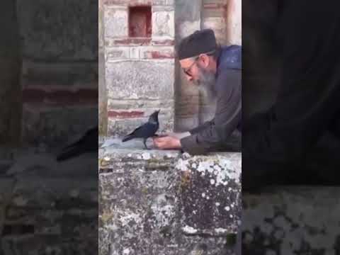 СВЕ ШТО ДИШЕ, НЕКА СЛАВИ ГОСПОДА! #православље #youtube #shorts